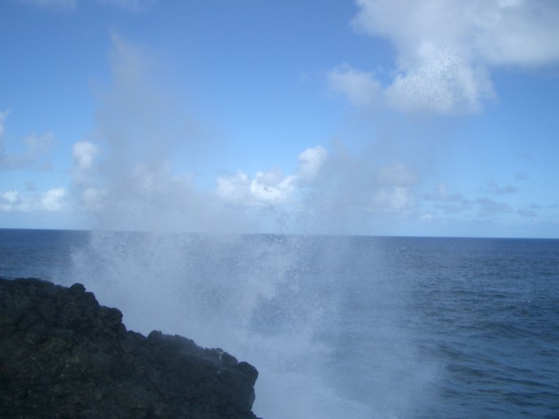 Mauritius 2006 (241).jpg